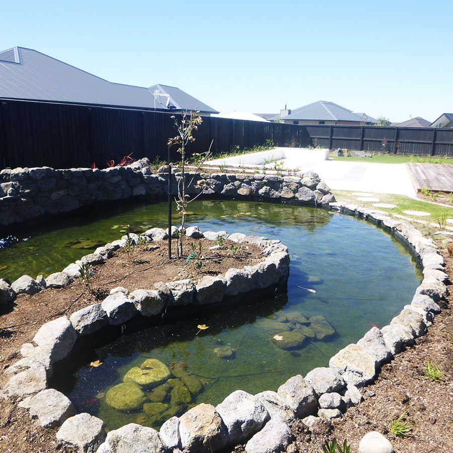 Pond water feature with koi goldfish