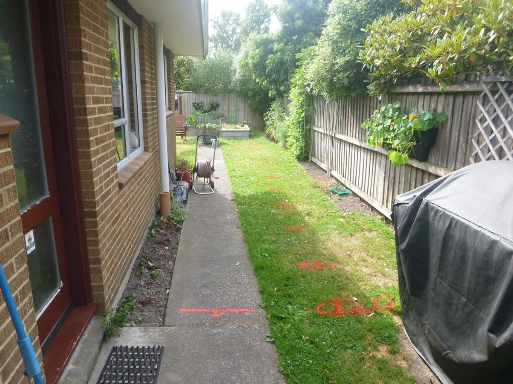 Green Grass 40
