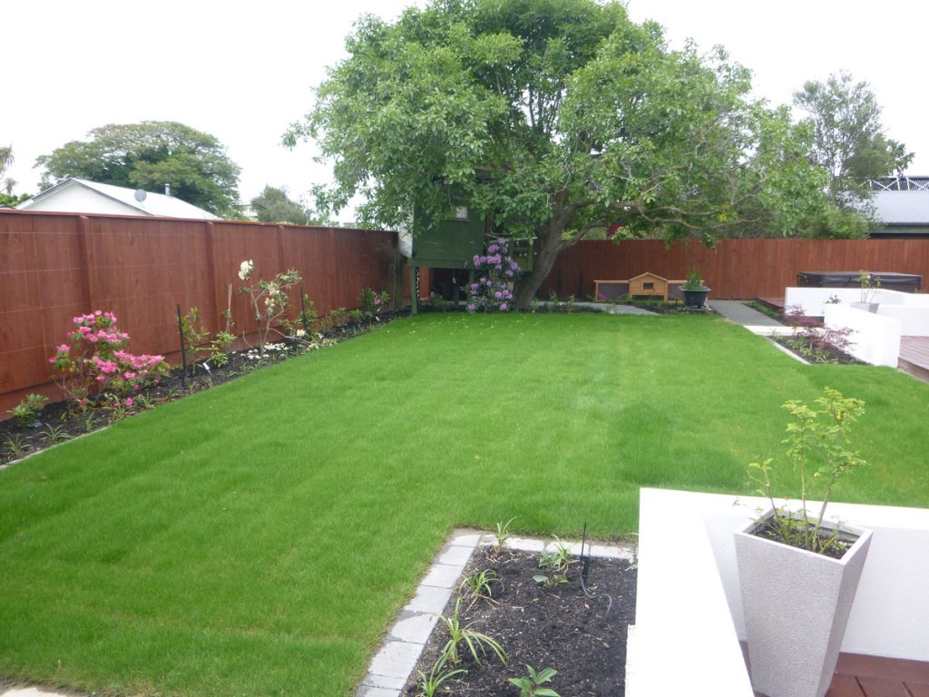 Green Grass 33