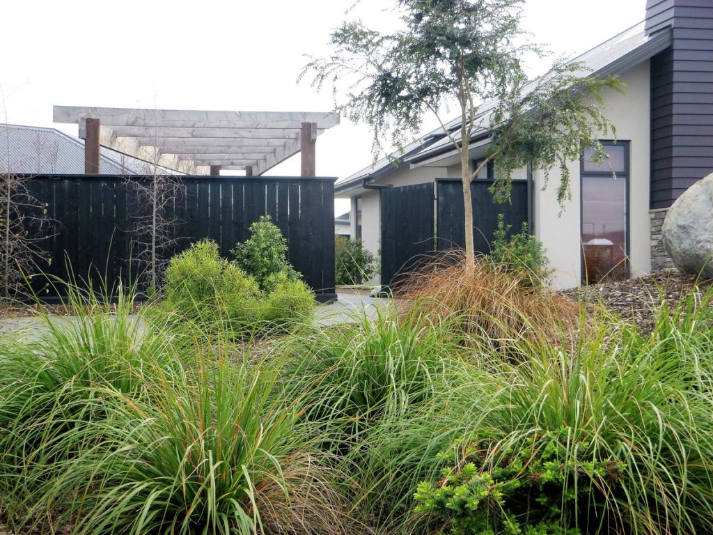 Green Grass 21